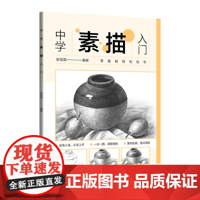 中学素描入门