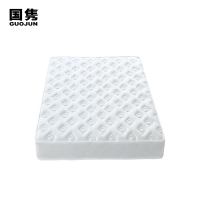 国隽 床垫 1000*1900*220mm/张