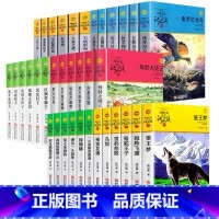 沈石溪品藏书系全套36册 [正版]全集36册沈石溪动物小说品藏书系列 狼王梦斑羚飞渡第七条猎狗雪豹悲歌混血豺王珍藏版全套
