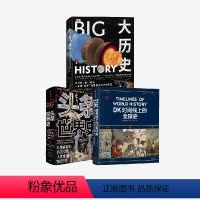 [正版]大历史+头条世界史+DK时间线上的全球史(套装3册)出版社图书