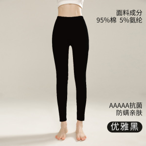 男士纯棉秋裤男薄款纯色全棉保暖裤女内穿高腰大码打底裤线裤