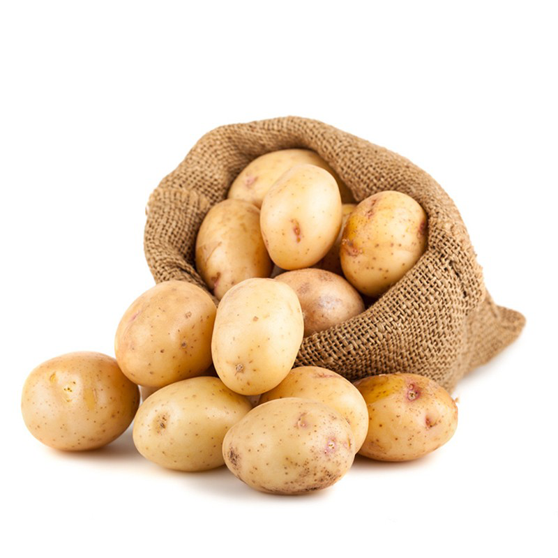 梁孟涵 农家自种小土豆2500g 新鲜现挖小黄心农家马铃薯 洋芋红皮黄心