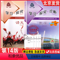 语文+数学 七年级下 [正版]2024新版 北京西城学习探究诊断 语文数学七年级下册 套装共2册 第14版 人教版