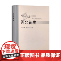 河北花生 31005-6