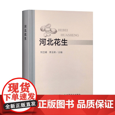 河北花生 31005-6