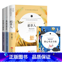 三年级上册推荐阅读 [正版]中小学课外阅读1-2-3三4四5五6六年级上下册必读快乐读书吧书籍四大名著稻草人安徒生格林童