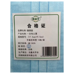 钿满堂一次性防护口罩10枚/袋