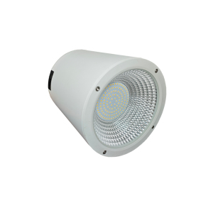 圣恩天泽 LED明装筒灯 TSYJ 100W 个