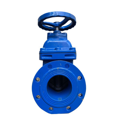 般德 软密封闸阀 DN200台