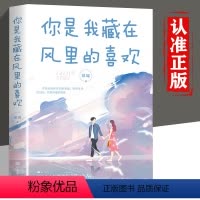 你是我藏在风里的喜欢 [正版]我与春风皆过客+懂你的人+你是我藏在风里的喜欢