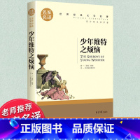 世界经典 文学名著[少年维特之烦恼] [正版]少年维特之烦恼三四五六年级必读书目名家名译原著无删减世界经典文学名著初中生