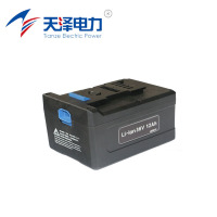 天泽电力 电池 LB3612 个