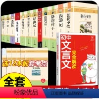 13册]初中中考必读12本名著+文言文完全解读 [正版]全套12册 初中必读名著十二本朝花夕拾鲁迅原著西游记海底两万里和