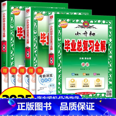 总复习全解·语文+数学+英语-3本套 [正版]2025春金星教育小升初毕业总复习全解语文数学英语通用版小学升初中小考总复