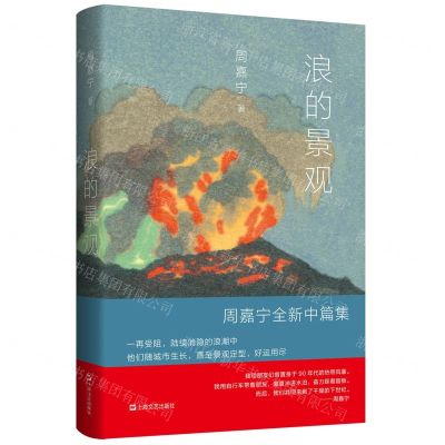 [N]浪的景观(周嘉宁全新中篇集)(精)-9787532182244