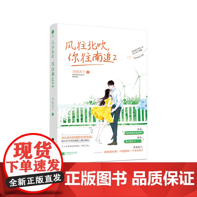 ?风往北吹,你往南追2 酒酿圆子著 现代都市青春校园青梅竹马爆笑甜宠青春文学小说 第二部 千寻文化