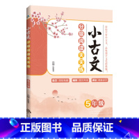 小古文分级阅读天天练:5年级 小学通用 [正版]2023小古文分级阅读天天练1一2二3三4四5五6六年级上下全一册小学文
