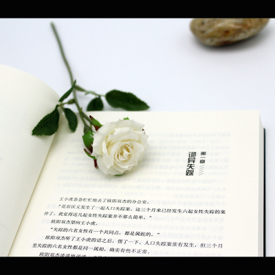 连环罪4:迷雾之城