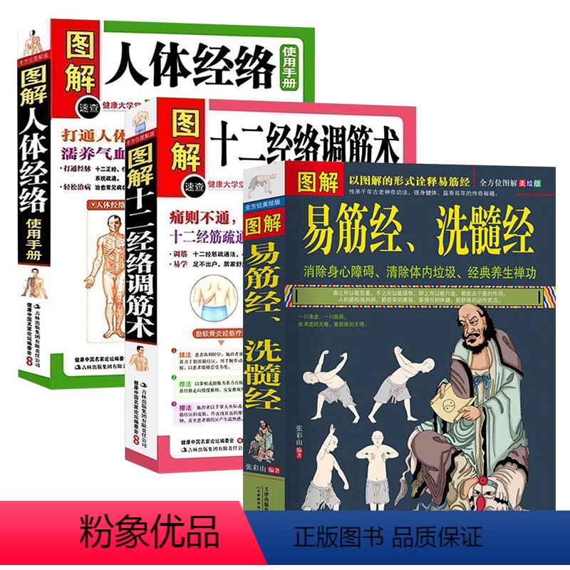 [正版]3册图解易筋经洗髓经+图解十二经络调筋术+图解人体经络使用手册 书籍