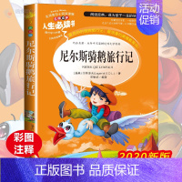 [正版]尼尔斯骑鹅旅行记 小学生三四五六年级下册必读课外阅读书籍彩图绘本7-9-10-12岁青少年版儿童文学书目故事书原