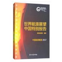 正版新书]世界能源展望中国特别报告国际能源署著9787518323159