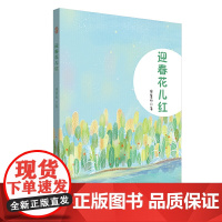 迎春花儿红
