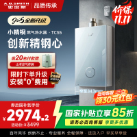 史密斯佳尼特[小精钢TCS5]16升精钢燃气热水器 国家补贴 JSQ31-TCS5 安全守护 持久恒温大水量 新品