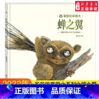 爸爸的爱很大系列之蝉之翼 [正版]熊猫绘本馆爸爸的爱很大系列之蝉之翼宝宝睡前故事书0-3-6岁图画书小学生幼儿园小班大班