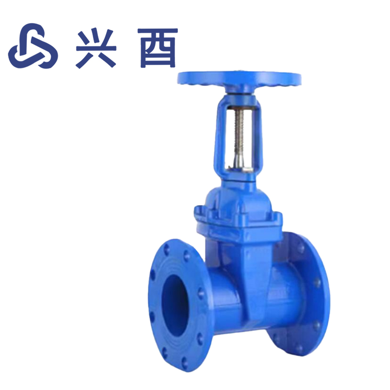 兴酉 法兰明杆闸阀 DN50 个