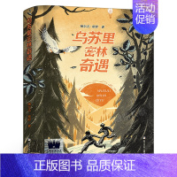 乌苏里密林奇遇 [正版]周末与爱丽丝聊天:运河边的密室 程玮著 六年级百班千人祖庆说大阅小森 小学生课外书阅读书籍 云南