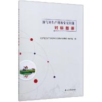 正版新书]油气田生产现场常见问题对标图册编者:赵正宏|责编:刘