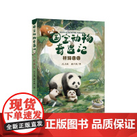 国宝动物奇遇记熊猫团团小学四五六年级2022暑假读一本好书动物小说大王沈石溪著作游遍 公园大象的远方在母亲期待的眼光里成