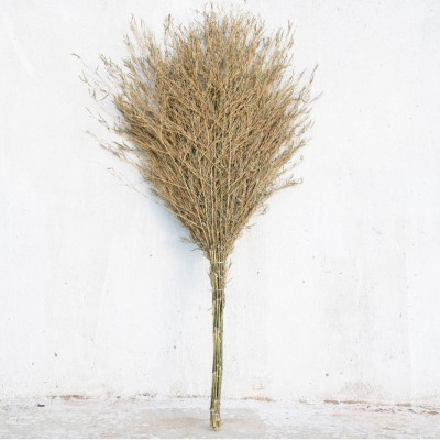 欣欣妍宸 无叶竹扫把大扫把 YC-大号 个