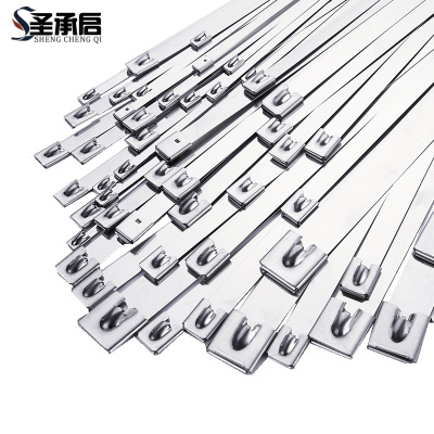 圣承启 不锈钢固定扎带 4.6*950mm根