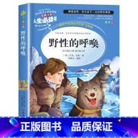 野性的呼唤 [正版]绿野仙踪三四年级课外书必读老师的快乐读书吧木偶奇遇记二年级上册下册课外阅读书籍秘密花园绿山墙的安妮小