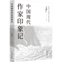音像中国现代作家印象记王富仁