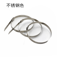 铁迅不锈钢自锁扎带 I88 100条/包