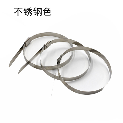 铁迅不锈钢自锁扎带 I88 100条/包