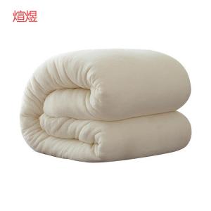 煊煜 全棉包布棉花被 XY-3 条