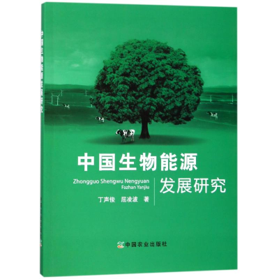 醉染图书中国生物能源发展研究9787109528