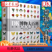DK博物大百科-自然界的视觉盛宴 [正版]这才是孩子爱看的漫画数学 全套6册 6-15岁青少年儿童早教启蒙书小学生课外阅