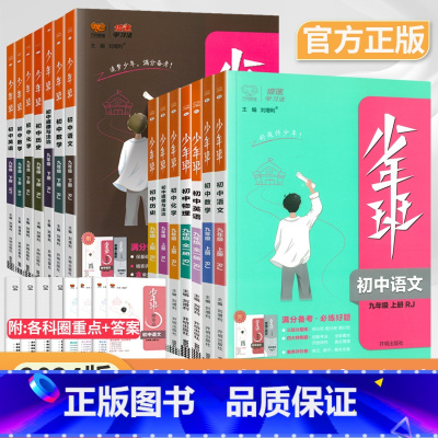 [人教版]九年级下册数物化3本 九年级/初中三年级 [正版]2024版少年班九年级上册下册语文数学英语物理化学政治历史人