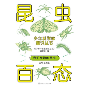 正版新书]昆虫百态《少年科学家通识丛书》编委会 编97875202138