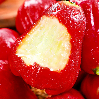 [西沛生鲜]海南红宝石莲雾 大果 净重2.5斤 单果65-90g 当季新鲜水果特大果雾莲黑金刚连雾果整箱