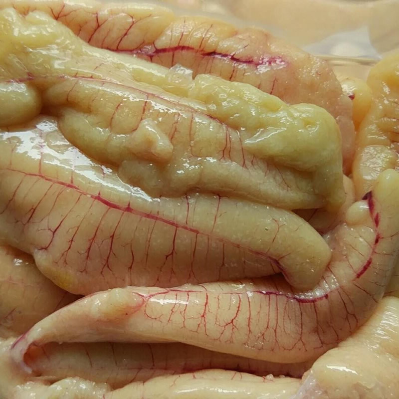 新鲜黄花鱼籽海鱼子鱼卵大黄鱼鱼籽鱼中宝冷冻 1斤1