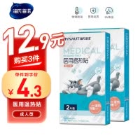 海氏海诺 2片盒装成人物理降温退热贴家庭常备清凉散热冷敷凝胶贴冰凉贴片