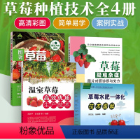 [正版]图说草莓修剪与12月栽培管理+温室草莓高效优质生产技术+草莓疑难杂症图片对照诊断与处方+水肥一体化技术图解
