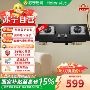 海尔煤气灶JZT-Q2B1(12T)家用燃气灶台嵌两用式天然气灶商用猛火灶 海尔家用燃气灶台嵌两用式天然气