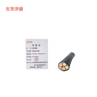 安普津盛 铜芯电力电缆YJV4*25+1*16mm0.6/1kv 米