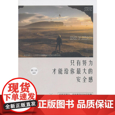 只有努力才能给你最大的安全感 正版书籍
